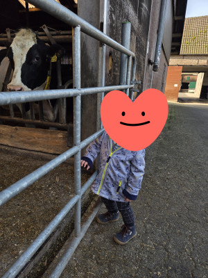 Besuch bei den Kühen