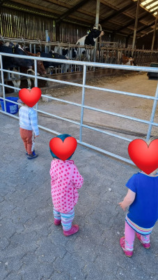 Besuch bei den Kühen