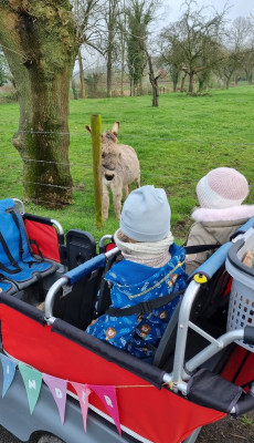 Besuch bei den Eseln