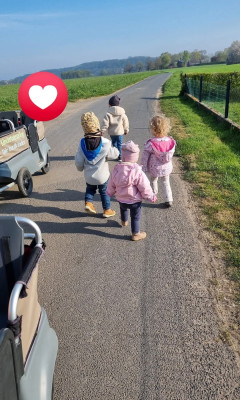 Spaziergang zum Bauernhof