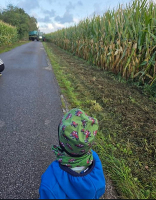 Spaziergang zum Bauernhof